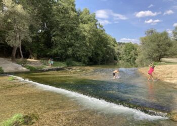Οικολογική Κίνηση Κοζάνης: Ένα μπράβο στους διοργανωτές και εθελοντές των διήμερων εκδηλώσεων για το δάσος στο Μικρόκαστρο