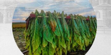 Γιορτή καπνού (Κριτσμάς) στο Μικρόκαστρο το Σάββατο 21/9