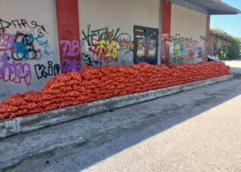 “Μαζί για την Κοζάνη”: Με μεγάλη επιτυχία η σημερινή δωρεάν διανομή πατάτας – Μέσα σε 2 μόλις ώρες, διατέθηκαν συνολικά 3 τόνοι προϊόντος σε πάνω από 200 συμπολίτες μας