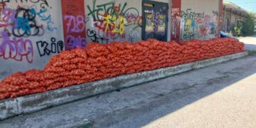 “Μαζί για την Κοζάνη”: Με μεγάλη επιτυχία η σημερινή δωρεάν διανομή πατάτας – Μέσα σε 2 μόλις ώρες, διατέθηκαν συνολικά 3 τόνοι προϊόντος σε πάνω από 200 συμπολίτες μας