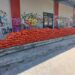 “Μαζί για την Κοζάνη”: Με μεγάλη επιτυχία η σημερινή δωρεάν διανομή πατάτας – Μέσα σε 2 μόλις ώρες, διατέθηκαν συνολικά 3 τόνοι προϊόντος σε πάνω από 200 συμπολίτες μας