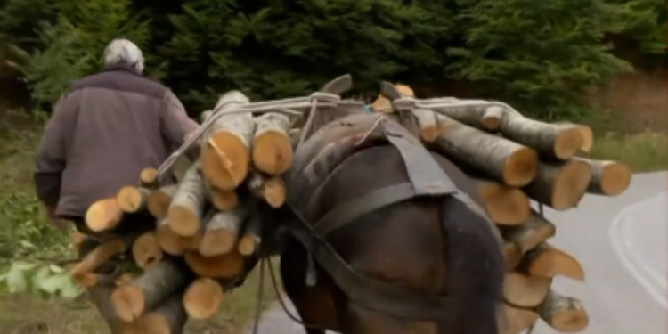 Βλάστη Κοζάνης: 3,3 βαθμούς Κελσίου έδειξε το θερμόμετρο μέσα Σεπτεμβρίου