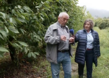 Εμπόριο Πτολεμαΐδας: Ένας ραβδοσκόπος εντοπίζει υπόγεια ύδατα με δική του πατέντα