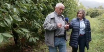 Εμπόριο Πτολεμαΐδας: Ένας ραβδοσκόπος εντοπίζει υπόγεια ύδατα με δική του πατέντα