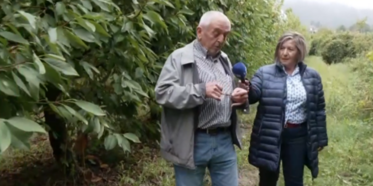 Εμπόριο Πτολεμαΐδας: Ένας ραβδοσκόπος εντοπίζει υπόγεια ύδατα με δική του πατέντα