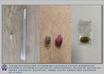 10 συλλήψεις στη Δυτική Μακεδονία