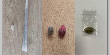 10 συλλήψεις στη Δυτική Μακεδονία