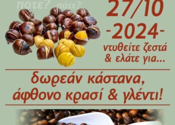 Δήμος Βοΐου: Καστανογιορτή στη Δαμασκηνιά 