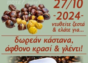 Η ετήσια Καστανογιορτή στη Δαμασκηνιά Βοΐου