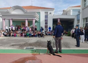 Mε αφορμή την Παγκόσμια_Ημέρα_Ζώων, επίσκεψη του αστυνομικού σκύλου ανίχνευσης εκρηκτικών ουσιών “DIVA” στο 9ο Δημοτικό Σχολείο Καστοριάς