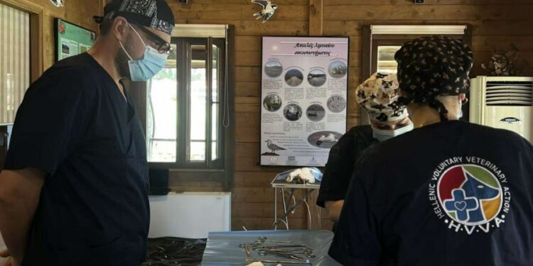 Επιτροπή Περιβάλλοντος & Φιλοζωίας Πανεπιστημίου Δυτικής Μακεδονίας – Ολοκλήρωση φιλοζωικής δράσης στείρωσης αδέσποτων ζώων συντροφιάς