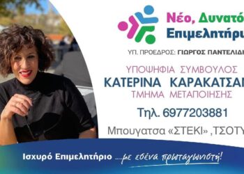 Η Κατερίνα Καρακατσάνη υποψήφια με τον Γιώργο Παντελίδη στις εκλογές του ΕΒΕ Κοζάνης