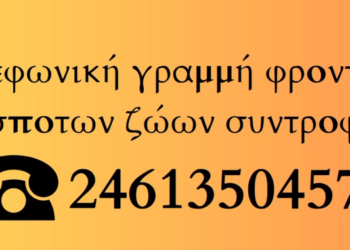 Δήμος Κοζάνης: Τηλεφωνική γραμμή φροντίδας αδέσποτων ζώων συντροφιάς – Κάλεσε στο 2461350457