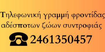 Δήμος Κοζάνης: Τηλεφωνική γραμμή φροντίδας αδέσποτων ζώων συντροφιάς – Κάλεσε στο 2461350457