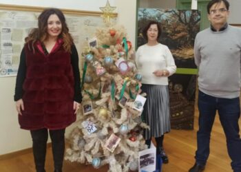 Ένα Χριστουγεννιάτικο Δένδρο με Ιστορία, Παράδοση και Δημιουργικότητα στο Κέντρο Εκπαίδευσης για το Περιβάλλον και την Αειφορία της Σιάτιστας