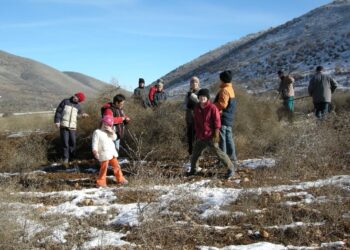 Λόζιος ή φουρφούρια. Τα ξερά χόρτα για τις κλαδαριές