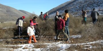 Λόζιος ή φουρφούρια. Τα ξερά χόρτα για τις κλαδαριές