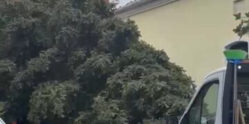 Σιάτιστα: Έφτασε το πελώριο Χριστουγεννιάτικο δέντρο.  Βίντεο