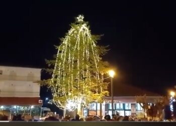 Τσοτύλι: Την Κυριακή φωταγωγήθηκε το Χριστουγεννιάτικο δέντρο.  Βίντεο