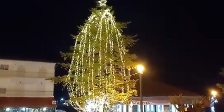 Τσοτύλι: Την Κυριακή φωταγωγήθηκε το Χριστουγεννιάτικο δέντρο.  Βίντεο
