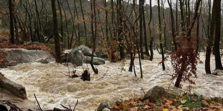 Τα Προβλήματα στην Κοζάνη από την κακοκαιρία Bora