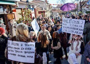 Δήμος Βοΐου: Εντυπωσίασαν με πολύ μεγάλη συμμετοχή τα Μπουμπουσάρια στη Σιάτιστα