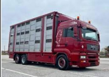 Σεμινάριο για την απόκτηση «Βεβαίωσης Επαγγελματικής Κατάρτισης Οδηγών – Συνοδηγών & Πιστοποιητικού Επαγγελματικής Ικανότητας Μεταφορέων Ζώντων Ζώων»