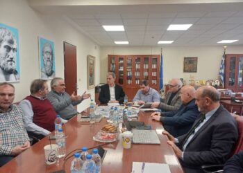 Περιφέρεια Δυτικής Μακεδονίας: Αξιολόγηση και  προγραμματισμός των επόμενων ενεργειών σχετικά με τα παλαιοντολογικά ευρήματα  στη Μηλιά Γρεβενών