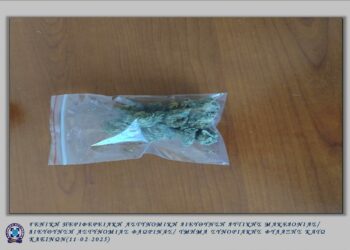 Συνελήφθη από αστυνομικούς του Τμήματος Συνοριακής Φύλαξης Κάτω Κλεινών Φλώρινας, 39χρονος για κατοχή ναρκωτικών ουσιών, στη πόλη της Φλώρινας