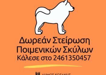 Δωρεάν στειρώσεις ποιμενικών σκύλων από τον Δήμο Κοζάνης