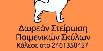 Δωρεάν στειρώσεις ποιμενικών σκύλων από τον Δήμο Κοζάνης