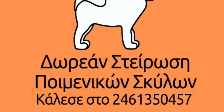 Δωρεάν στειρώσεις ποιμενικών σκύλων από τον Δήμο Κοζάνης