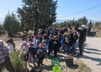 Οικολογική Κίνηση Κοζάνης: ΝAI στη δεντροφύτευση. OXI στην αβασάνιστη κοπή δέντρων  Οι Οικολόγοι για τη Διεθνή Ημέρα Δασών
