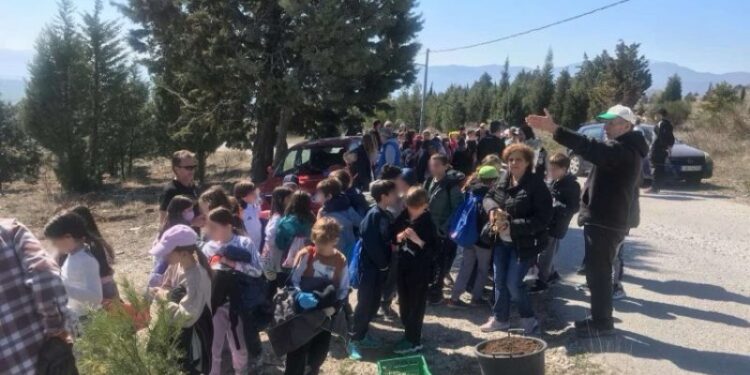 Οικολογική Κίνηση Κοζάνης: ΝAI στη δεντροφύτευση. OXI στην αβασάνιστη κοπή δέντρων  Οι Οικολόγοι για τη Διεθνή Ημέρα Δασών