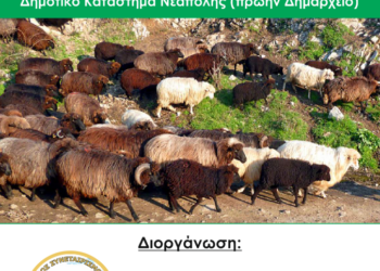 Αγροτικός Κτηνοτροφικός Συνεταιρισμός Βοΐου: Ημερίδα για το Σαρακατσάνικο πρόβατο