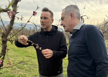 Επίσκεψη του βουλευτή ΠΕ Κοζάνης Στάθη Κωνσταντινίδη σε ροδακινοπαραγωγούς του Βελβεντού