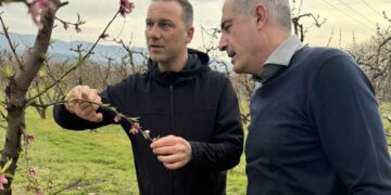 Επίσκεψη του βουλευτή ΠΕ Κοζάνης Στάθη Κωνσταντινίδη σε ροδακινοπαραγωγούς του Βελβεντού