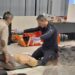 Δήμος Βοΐου: Πάνω από 100 άτομα παρακολούθησαν το σεμινάριο του ΕΚΑΒ. Βίντεο και φωτογραφίες