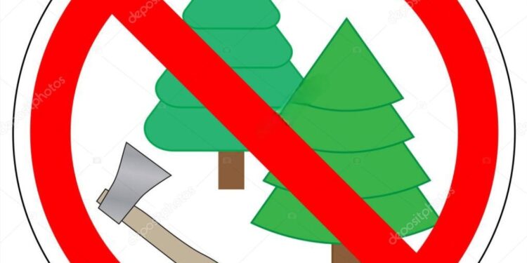 Δήμος Βοΐου: Απαγορεύεται η ξύλευση στη θέση Νησί στη Νεάπολη