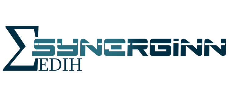 Κόμβος Ψηφιακής Καινοτομίας Δυτικής Μακεδονίας | SYNERGiNN EDIH: 1η συνάντηση προγραμματιστών Δυτικής Μακεδονίας