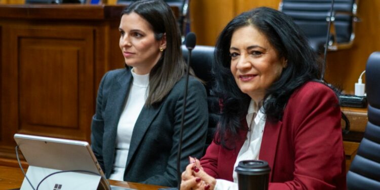 Πραγματοποίηση ενημερωτικής συνάντησης του έργου STEAME-DRREC για τη μείωση του κινδύνου από φυσικές καταστροφές και την κλιματική αλλαγή