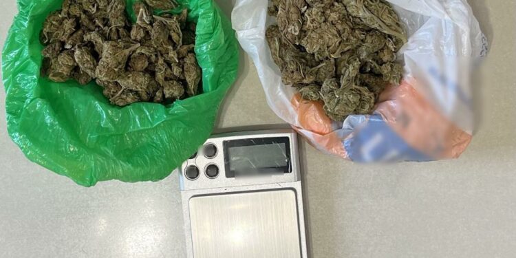 Συνελήφθη από αστυνομικούς του Τμήματος Δίωξης και Εξιχνίασης Εγκλημάτων Κοζάνης, 18χρονη για κατοχή ναρκωτικών ουσιών