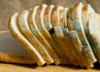 Είναι ασφαλές να κόψουμε το μέρος με μούχλα από τα τρόφιμα και να φάμε το υπόλοιπο;