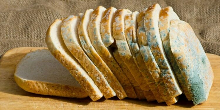 Είναι ασφαλές να κόψουμε το μέρος με μούχλα από τα τρόφιμα και να φάμε το υπόλοιπο;
