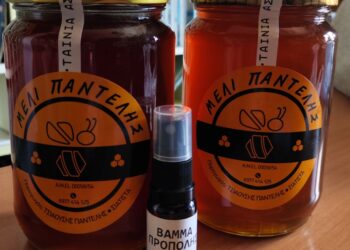 Μέλι: οφέλη και Ευεργετικές – θεραπευτικές ιδιότητες