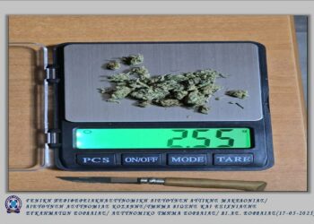 5 συλλήψεις σε Βόιο,  Κοζάνη, Πτολεμαΐδα, Γρεβενά  και Καστοριά