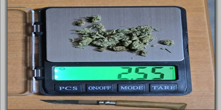 5 συλλήψεις σε Βόιο,  Κοζάνη, Πτολεμαΐδα, Γρεβενά  και Καστοριά