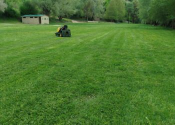 Fiesta Voio 2025: Εντυπωσιάζει το καταπράσινο τοπίο. Φωτογραφία