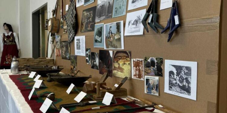 Δημοτικό Σχολείο Νεάπολης: Λαογραφική Έκθεση με τίτλο ” Ματιές στο παρελθόν”