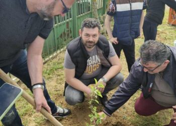 Δεντροφύτευση στο Δημοτικό Σχολείο Καλονερίου – Μικροκάστρου. Φωτογραφίες